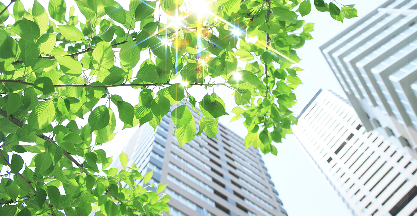 Contribuimos a la sostenibilidad ambiental